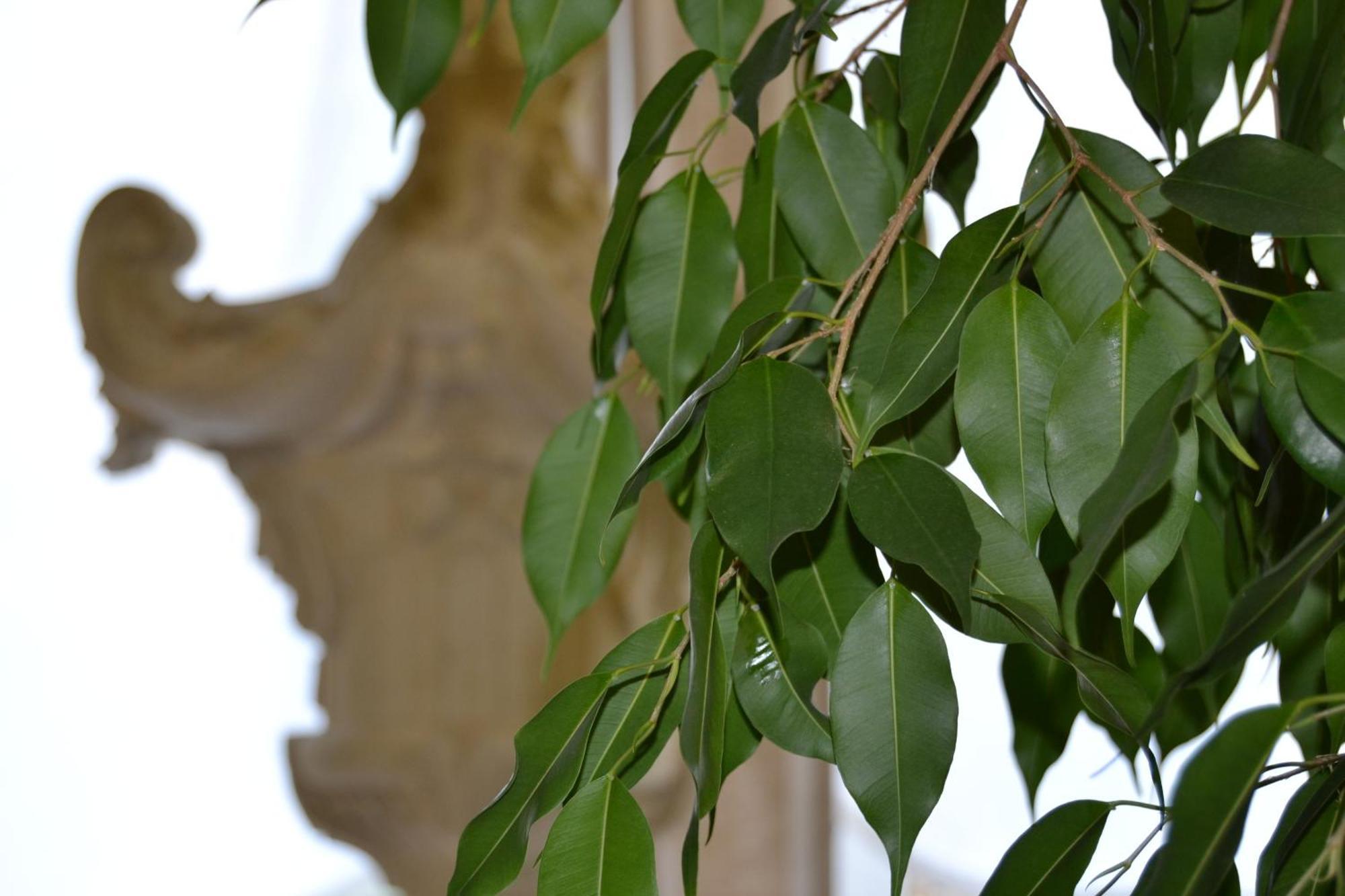 Hotel Due Leoni Sacile Exterior foto
